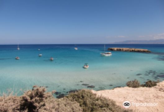 Abyss Dive Center购物图片