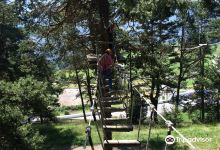 X-Trees Waldseilpark景点图片
