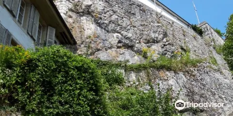 Reformierte Kirchgemeinde Aarburg