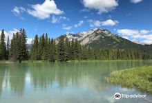 Bow River Trail景点图片