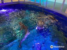 Seaquarium-勒格罗－迪鲁瓦