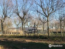 Magma - Centro Termal-圣科洛马·德法尔