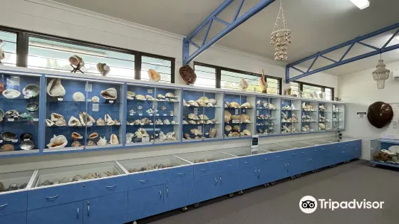Shell World Yeppoon