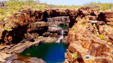 Mitchell River National Park-库努纳拉