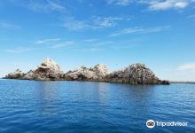 Isla San Jorge景点图片