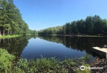 Chatfield Hollow State Park景点图片