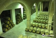 Bodegas Irache景点图片