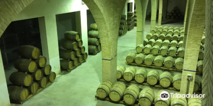 Bodegas Irache