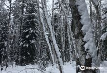 Hersey Lake Conservation Area景点图片