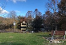 Penshurst Wetlands Public Gardens景点图片