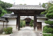 东光寺景点图片