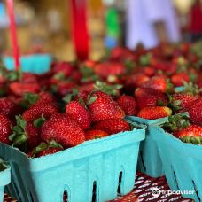 Southern Belle Farm-麦克多诺