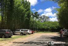 Bamboo Land Nursery & Parklands景点图片