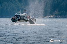 Seward Ocean Excursions-西沃德