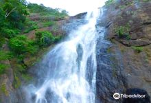 Palaruvi Falls景点图片