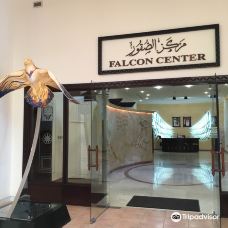 Falcon Museum-迪拜