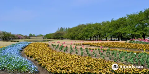 富山縣中央植物園