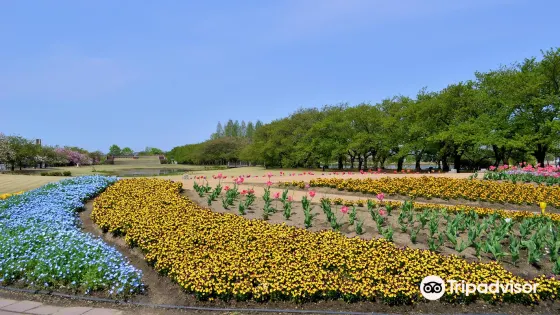 富山縣中央植物園