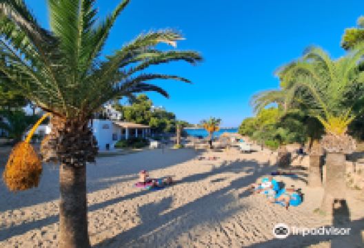 Cala d’Es Pou景点图片