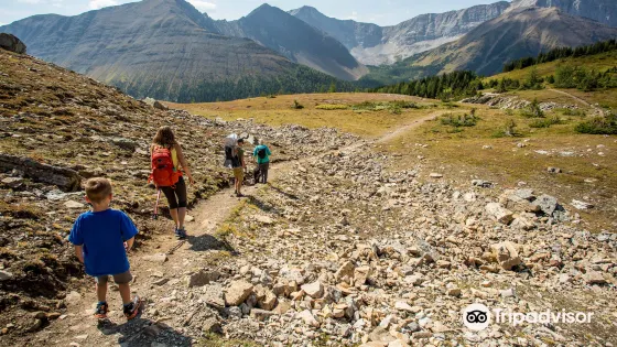 Kananaskis Outfitters