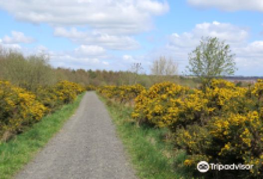 Chapman’s Well, Local Nature Reserve景点图片