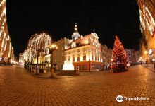 Town Hall, Swidnica (Ratusz w Swidnicy)景点图片