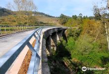 Ponte do Barreirinho景点图片