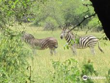 Gaborone Game Reserve-哈博罗内
