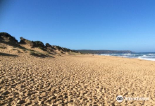 Gunnamatta Ocean Beach景点图片