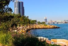 Barangaroo Foreshore Walk景点图片