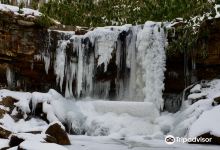 Cole Run Falls景点图片