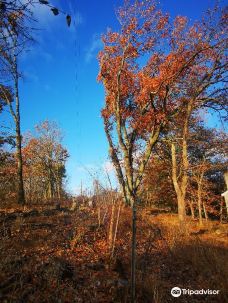 Carl G. Fenner Nature Center-兰辛