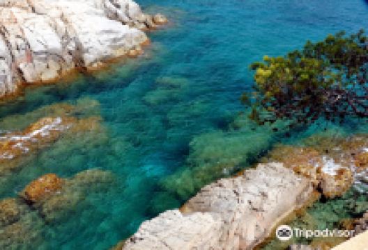 Chemin de Ronde景点图片