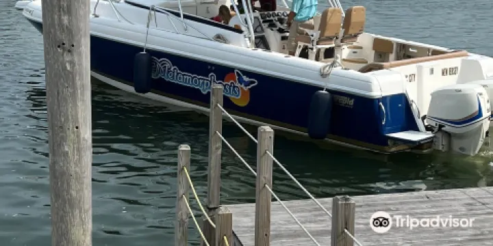 Metamorphosis Boat Charters