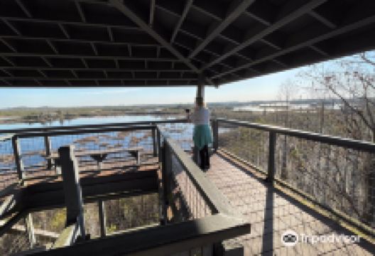 Chesser Island Homestead/Boardwalk景点图片