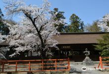 大井俣窪八幡神社景点图片