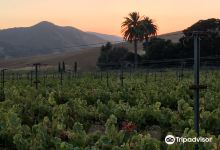 Jalama Wines景点图片