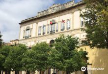 Edifício Paços do Concelho景点图片