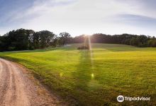 Martin Brothers Winery景点图片