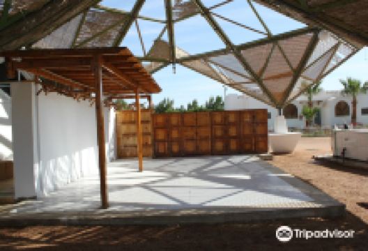 Blue Realm Diving Dahab购物图片