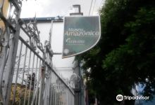 Museu Amazonico - Universidade do Amazonas景点图片