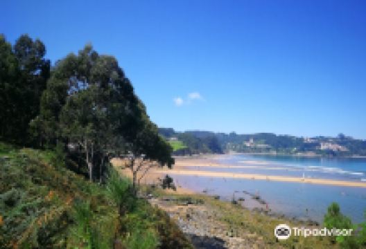 Playa de la Griega景点图片