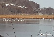 Riecks Lake Park景点图片