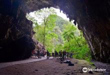 Cave of Guacharo景点图片