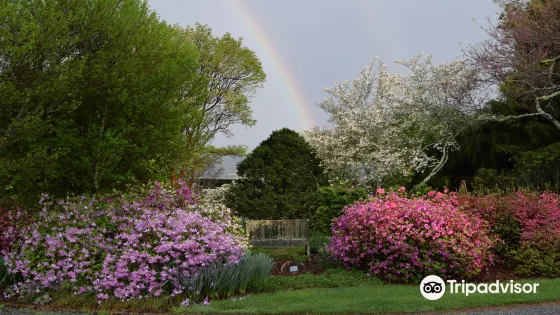 Bullington Gardens, Inc.