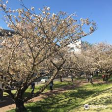 Oyama City Museum-小山市