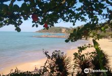 Coqueiro Beach景点图片