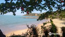 Coqueiro Beach-伊尔