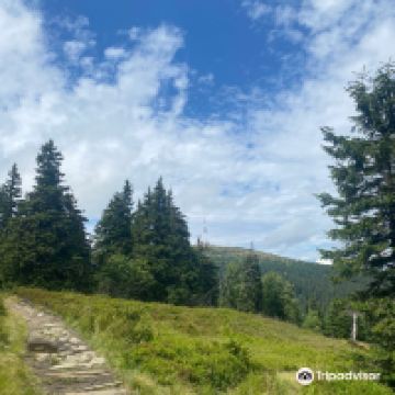 卡尔洛瓦斯图丹卡图片