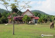 Ranch of the Plantation景点图片